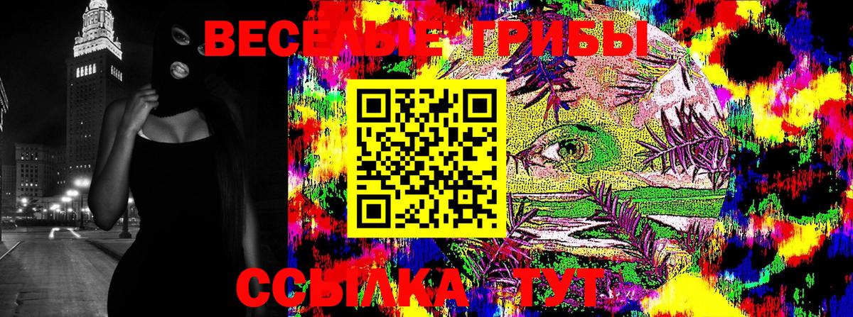 Галлюциногенные грибы GOLDEN TEACHER Шахты