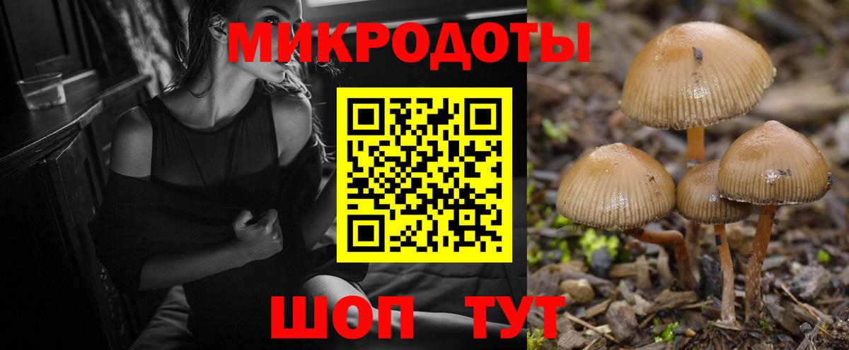 Галлюциногенные грибы ЛСД  Вход с VPN  Шахты 